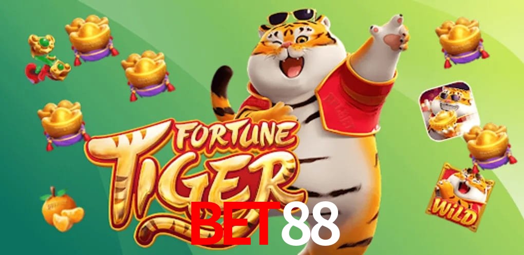 Experiência VIP bet88